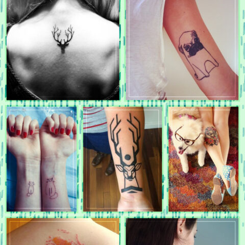 Pra inspirar: Tattoos animais